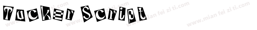 Tucker Script字体转换